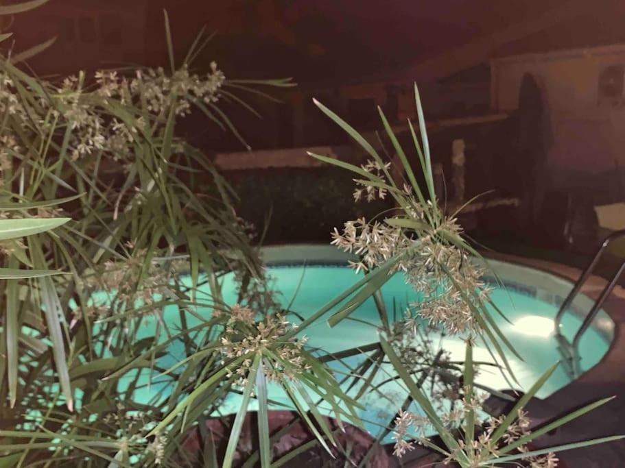 Piscine Cosy, 3 Chambres, 3 Sdb, Havre De Paix A 10 Min Des Plages Mauguio Εξωτερικό φωτογραφία