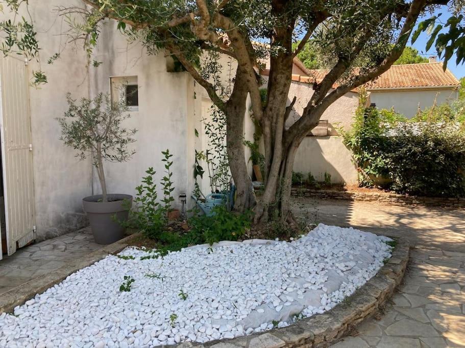 Piscine Cosy, 3 Chambres, 3 Sdb, Havre De Paix A 10 Min Des Plages Mauguio Εξωτερικό φωτογραφία